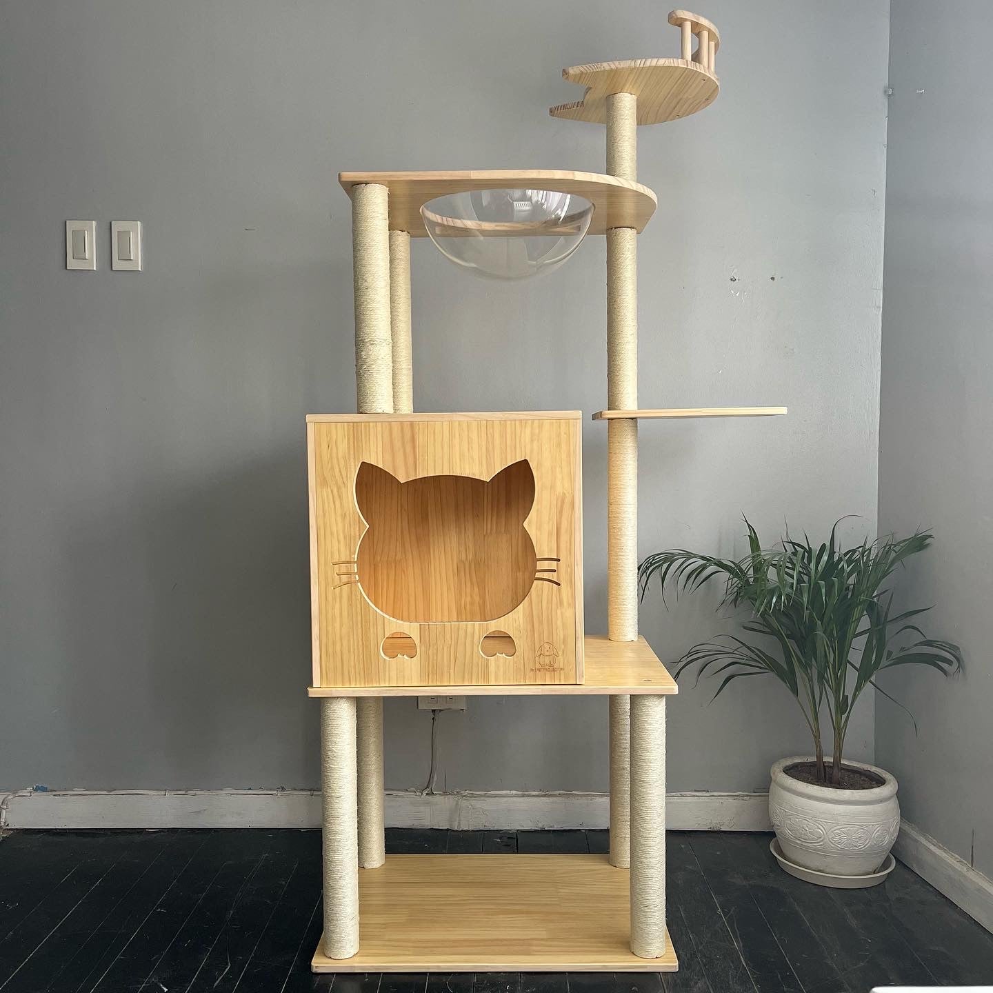 J Cat Condo