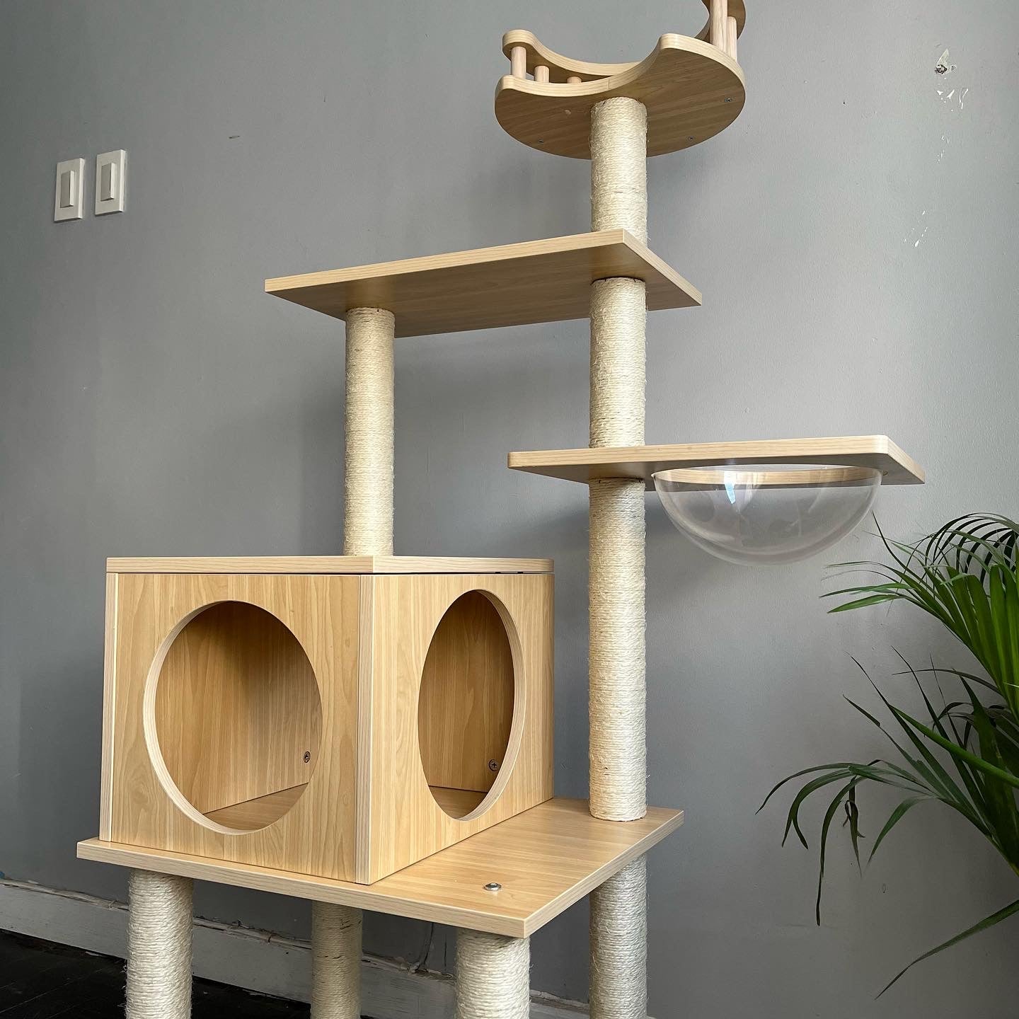 J Cat Condo