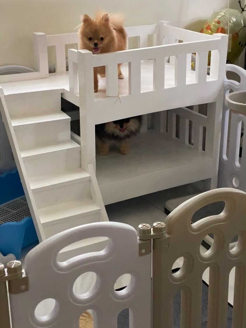 Double Deck Pet Bed