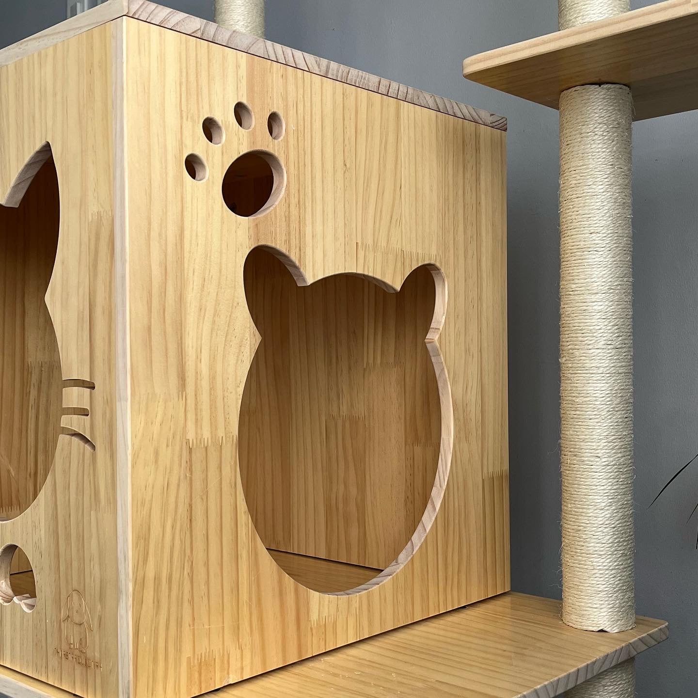 J Cat Condo