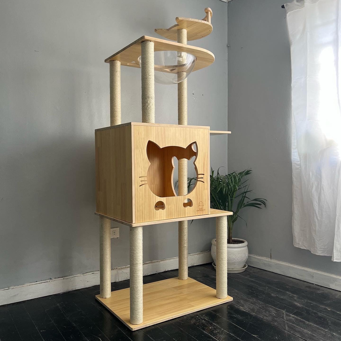 J Cat Condo