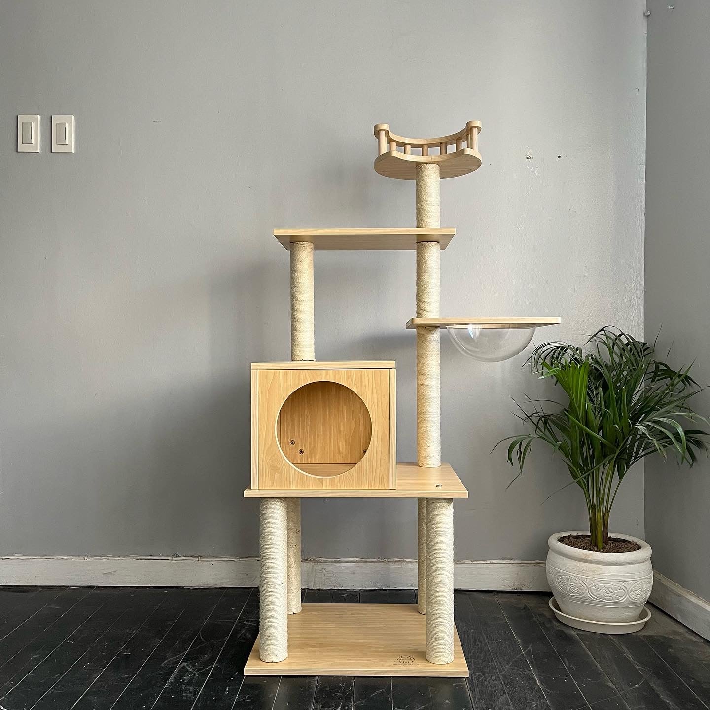 J Cat Condo
