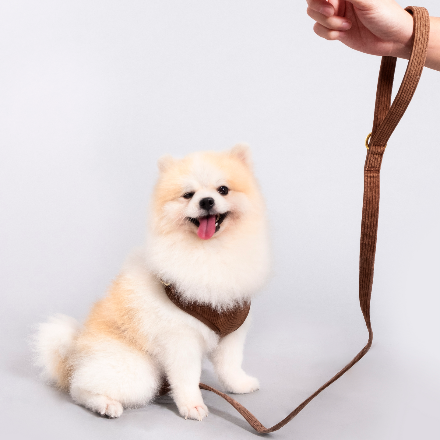 The Classic Walk Set