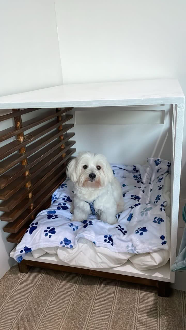 Table Top Pet Bed (Modern)