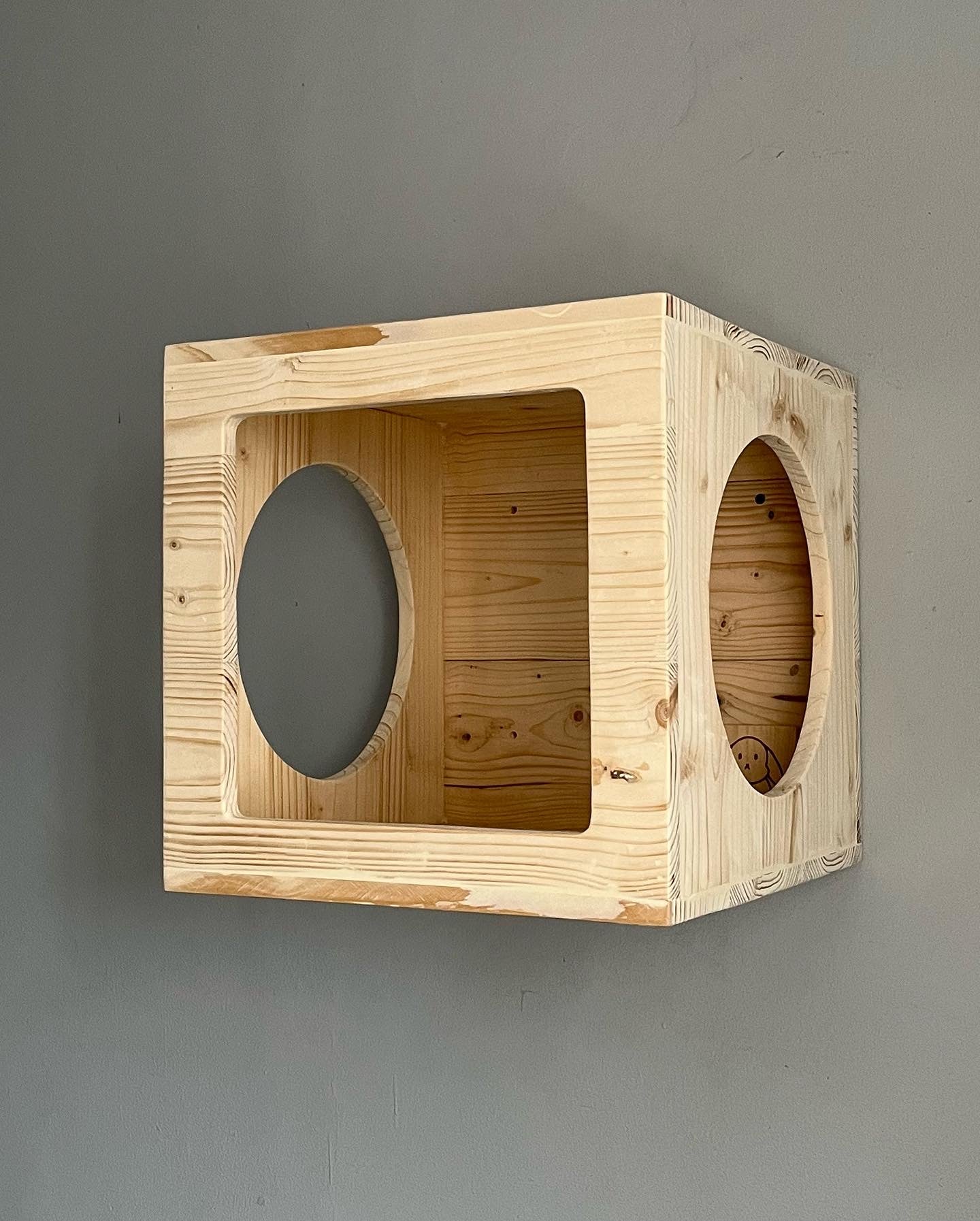 Wall Mounted Cat Box