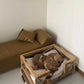 X Minimalist Pet Bed