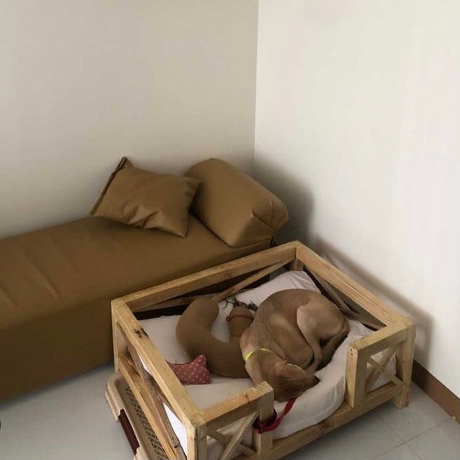 X Minimalist Pet Bed