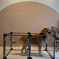 Bella Play Pen