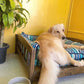 Classic Minimalist Pet Bed