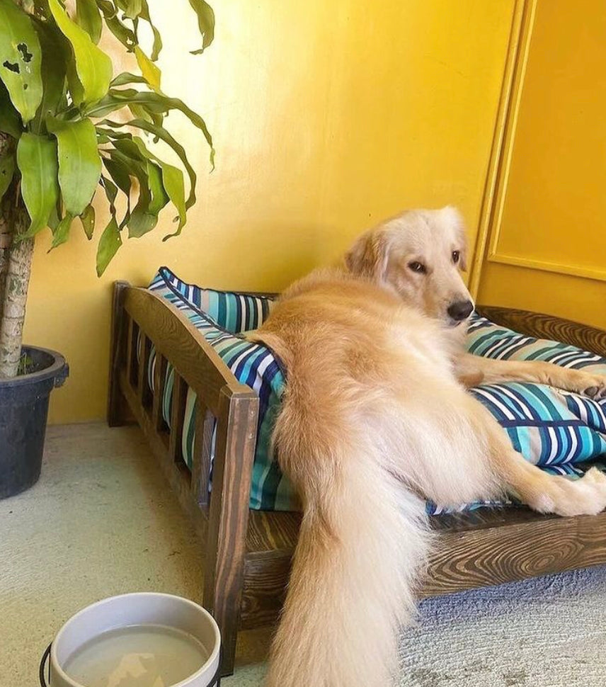 Classic Minimalist Pet Bed