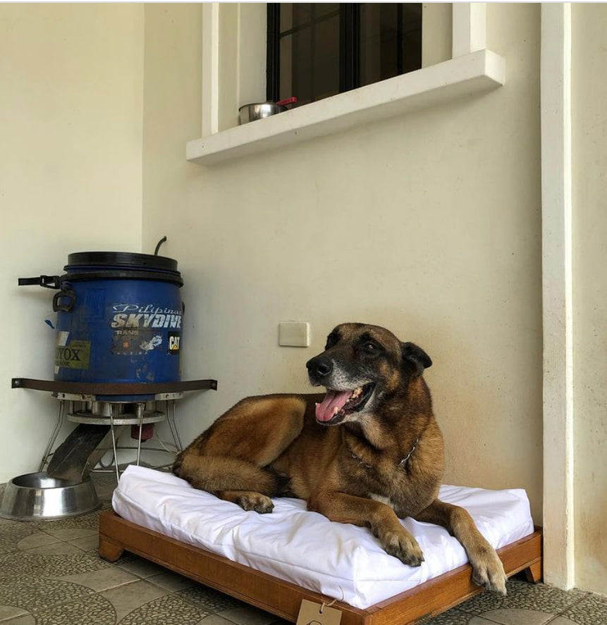 Minimalist Pet Bed