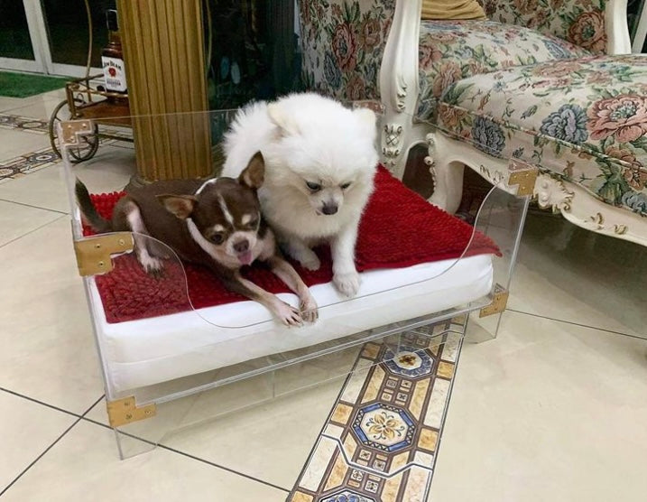 Acrylic Pet Bed
