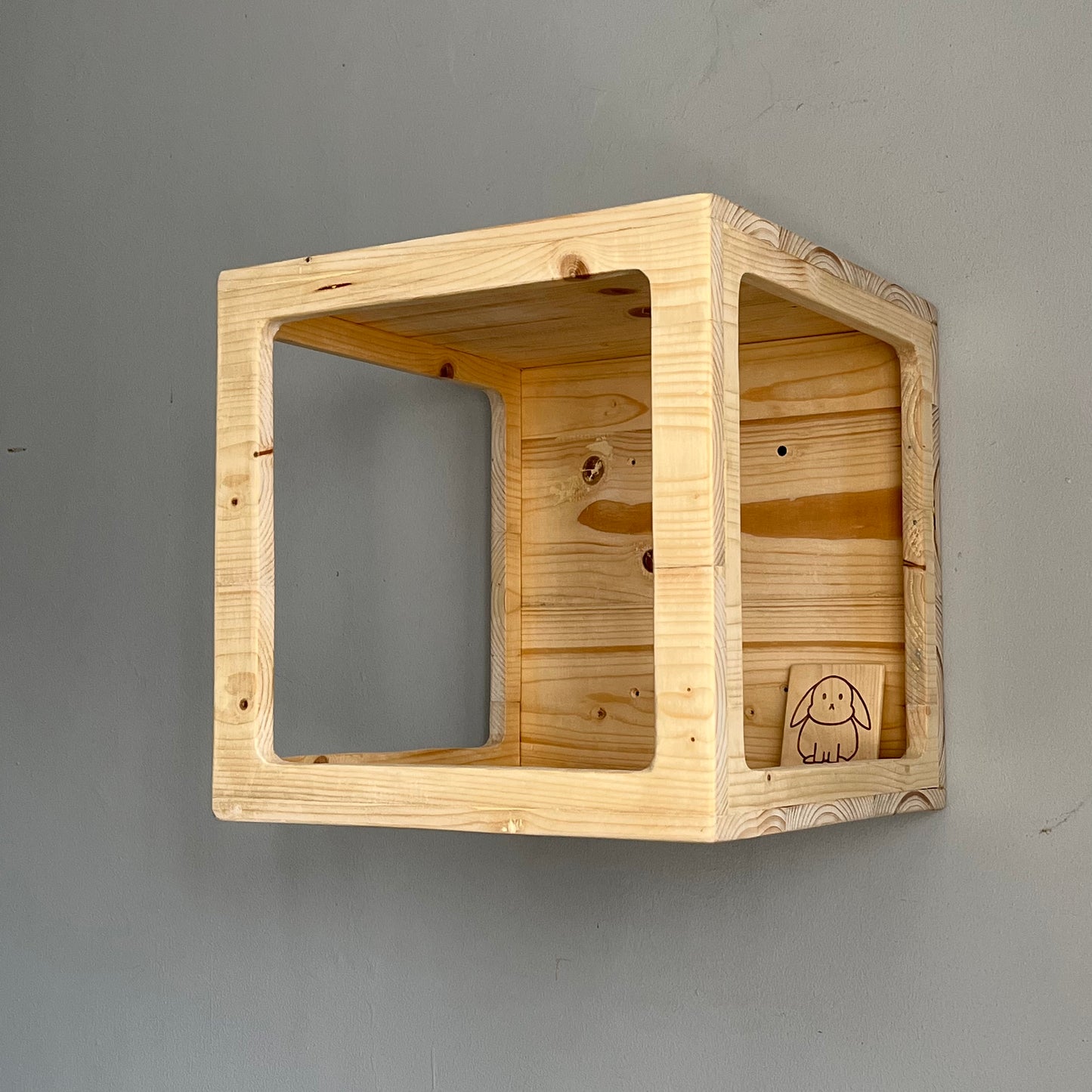 Wall Mounted Cat Box