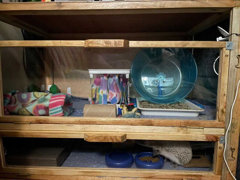 Hedgehog Hutch/Hide (Indoor)