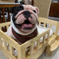 Classic Pet Bed