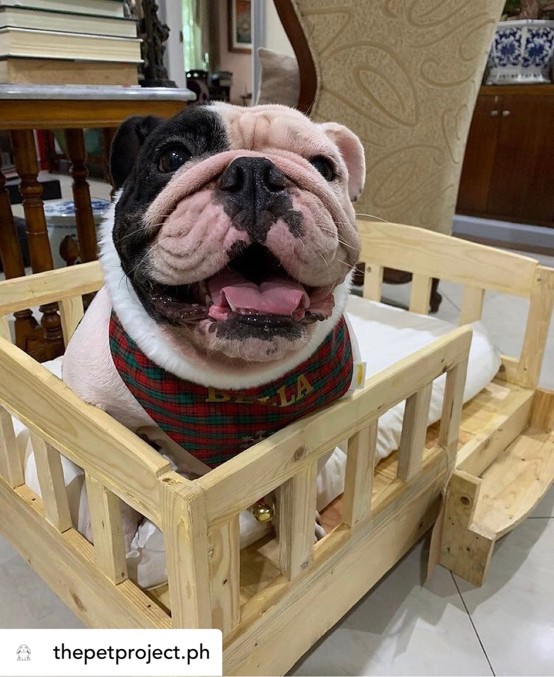 Classic Pet Bed