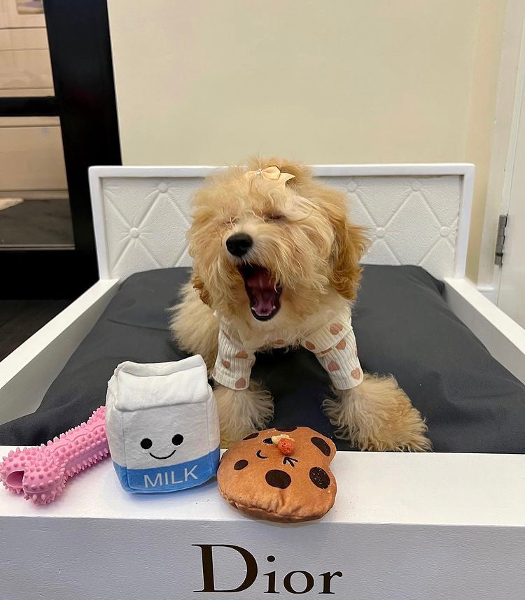 Hoomin Pet Bed
