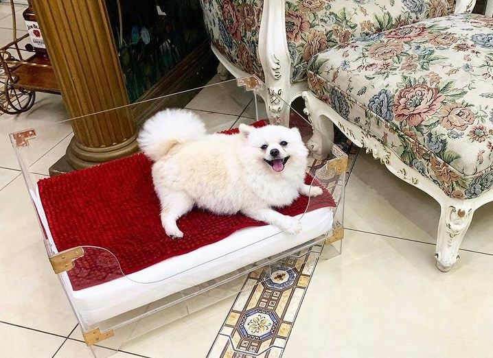 Acrylic Pet Bed