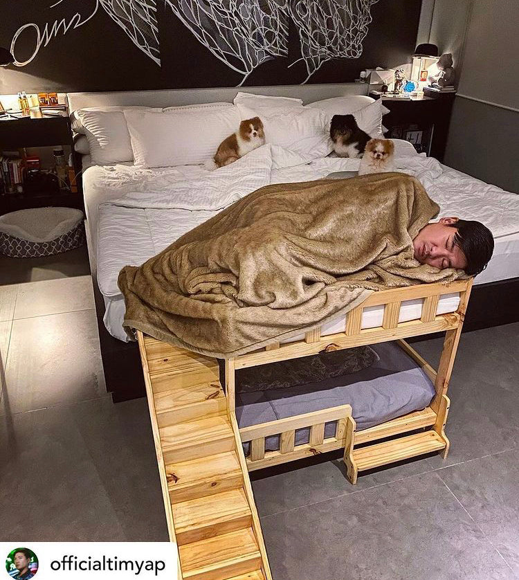 Double Deck Pet Bed