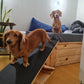 Wooden Adjustable & Foldable Ramp