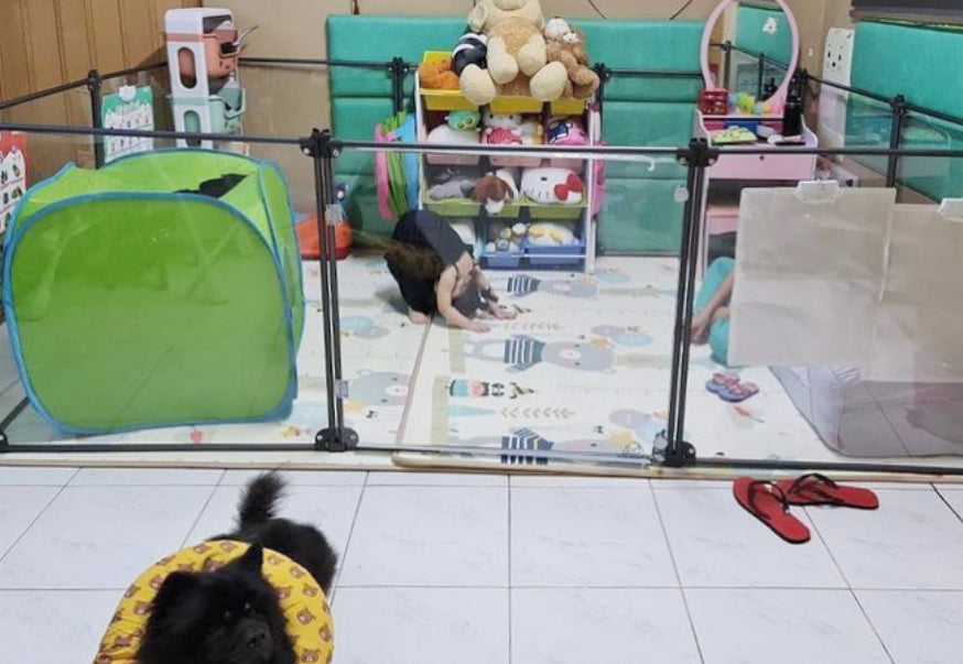 Bella Play Pen