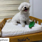 Classic Minimalist Pet Bed