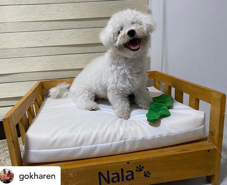 Classic Minimalist Pet Bed