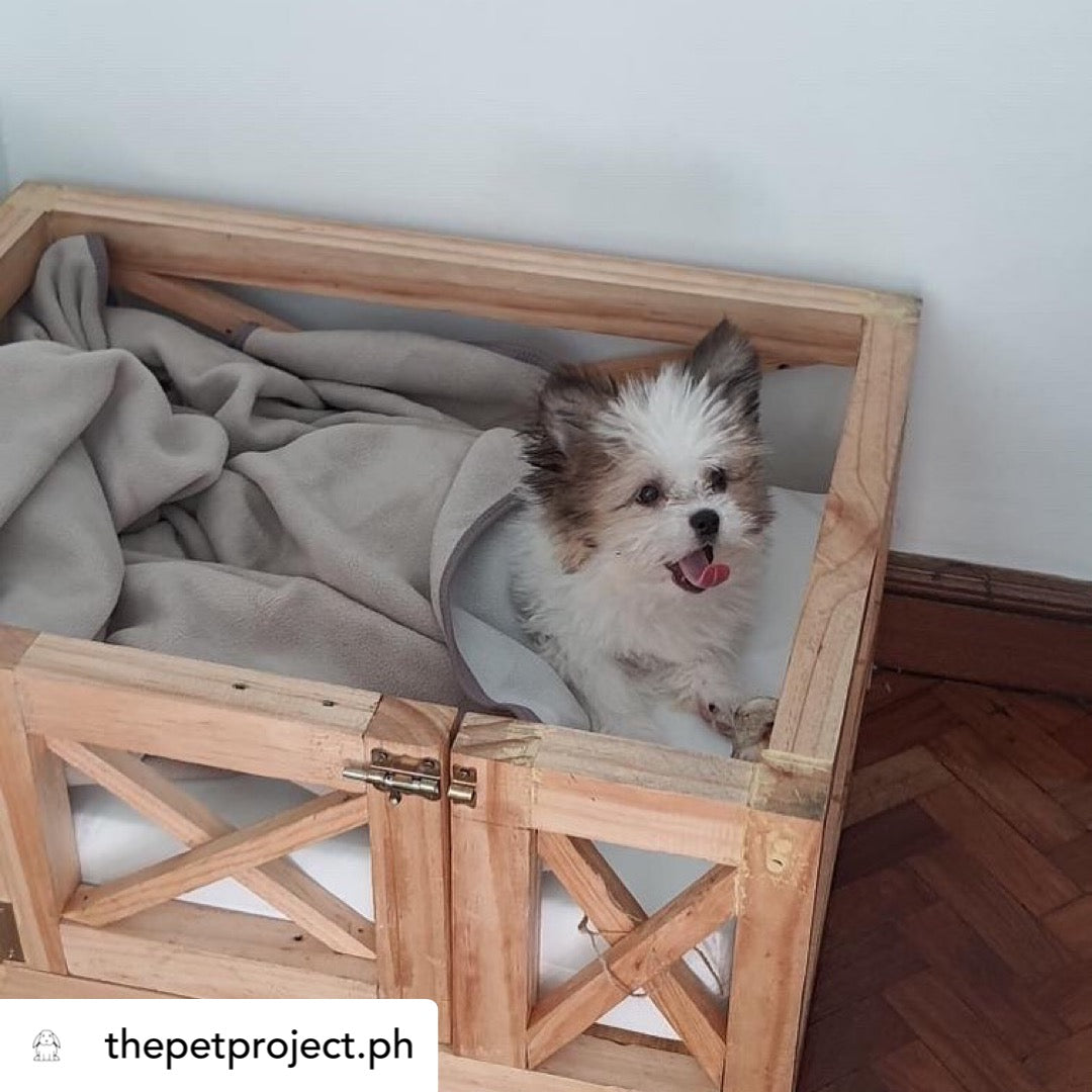 X Minimalist Pet Bed