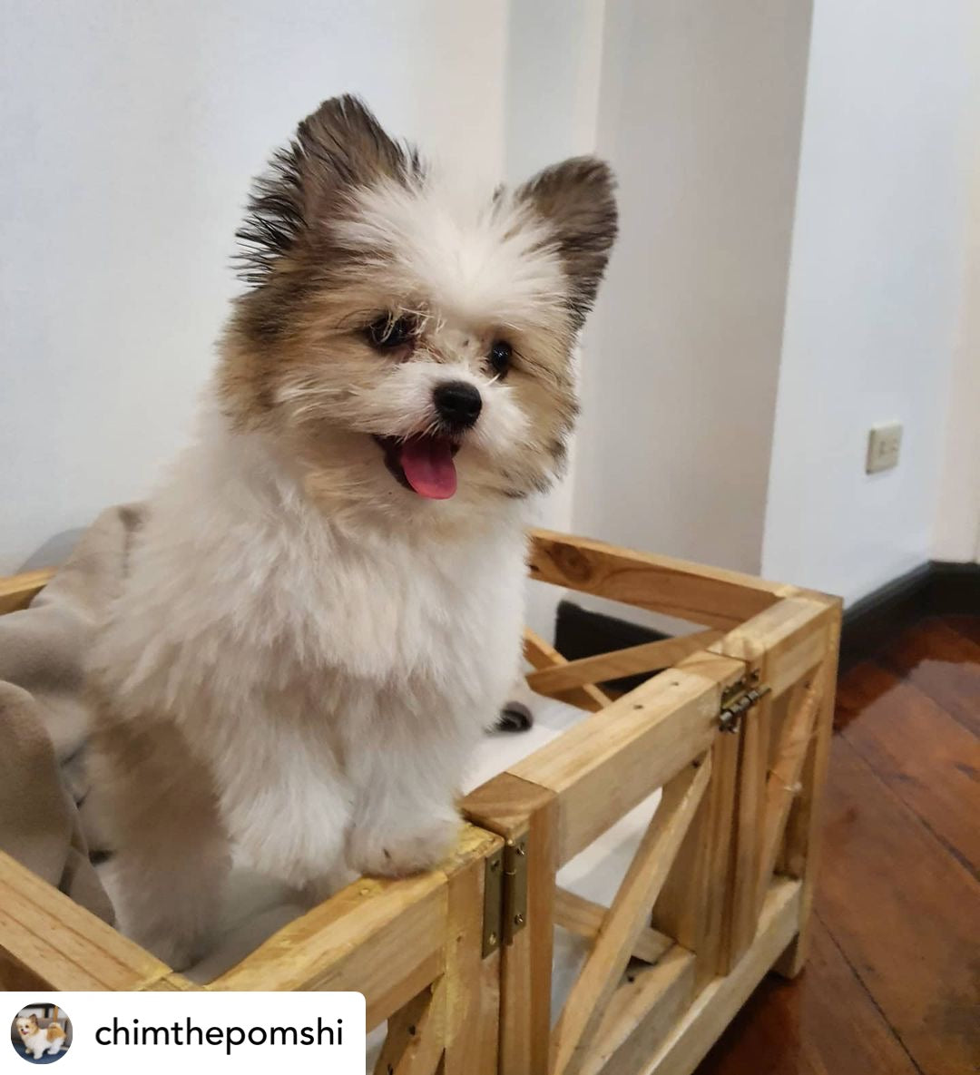 X Minimalist Pet Bed