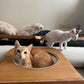 Wall Mounted Cat Bowl