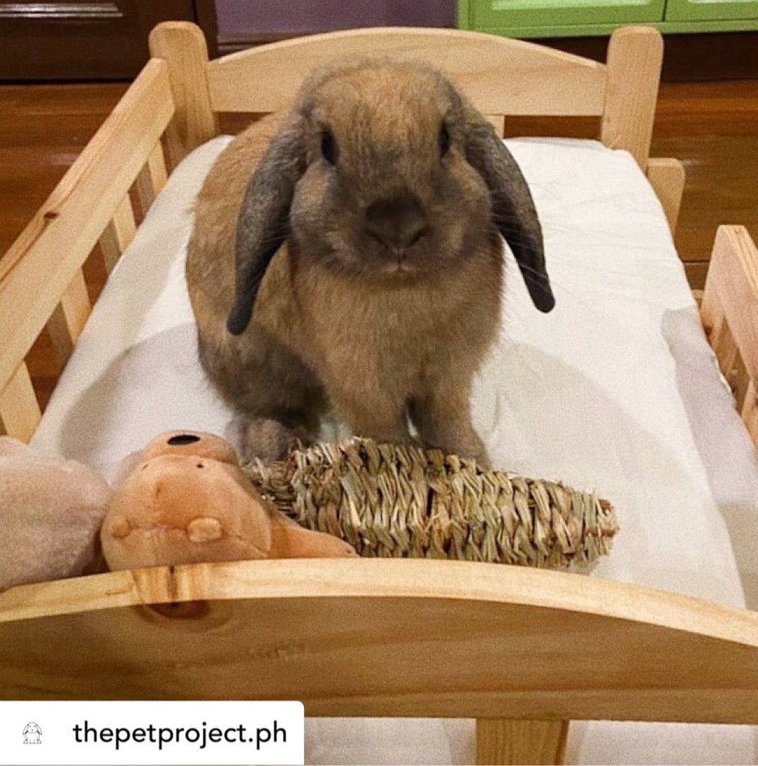 Classic Pet Bed