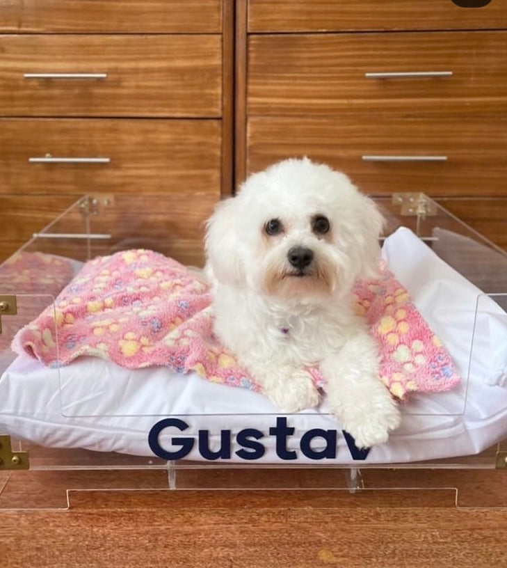 Acrylic Pet Bed