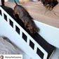 Wooden Storage Ramp
