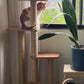 Kampon Cat Tower