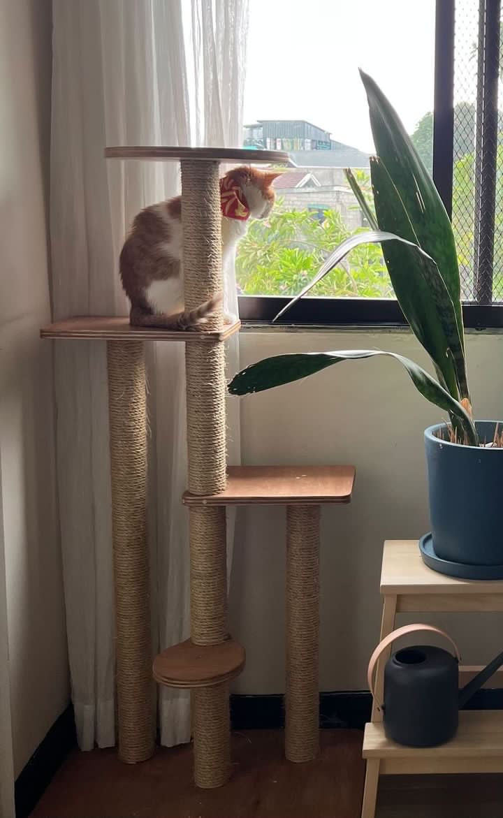 Kampon Cat Tower