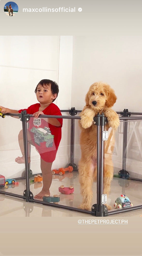 Bella Play Pen