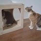 Wall Mounted Cat Box