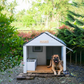 Outdoor Pet House